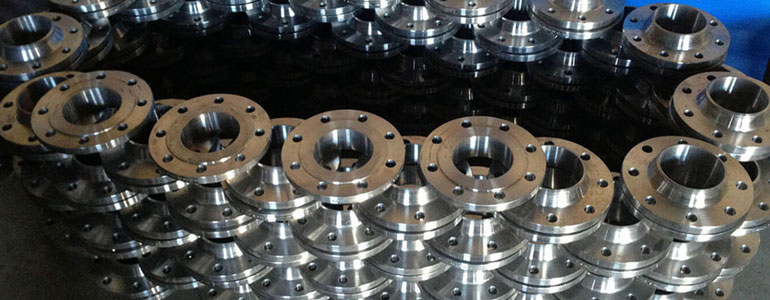 SS 316L Flange