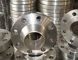 Titanium Flanges